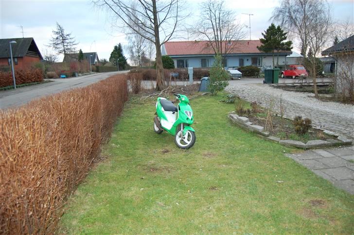 Piaggio NRG Solgt billede 11