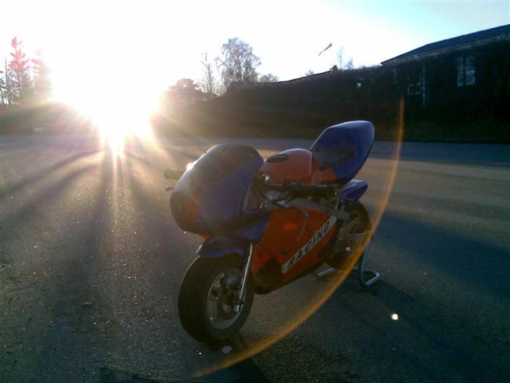 MiniBike Daytona G2 billede 4