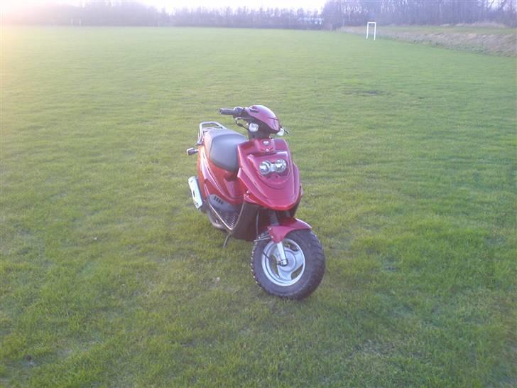 PGO hot 50 - før med røde skjolde billede 4