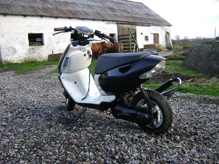 Aprilia Sonic - Byttet til Beta - DEN RØVPLADE HJALP FANDME PÅ DEN RØV billede 5