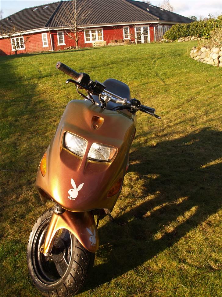 Kreidler easy rider   SoLgt ! billede 17
