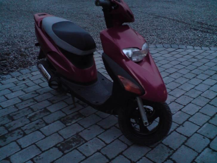 Honda Sfx (SOLGT) billede 7