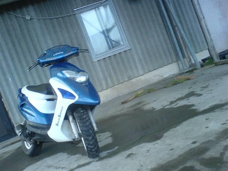 Honda SFX [ SOLGT ] billede 2