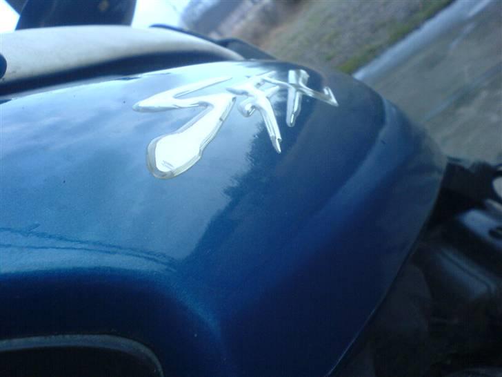 Honda SFX [ SOLGT ] billede 7