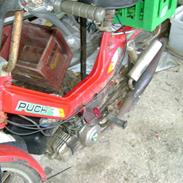 Puch maxi p1 - solgt 