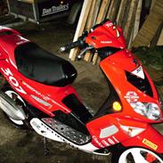 Peugeot Speedfigth 2 "Hilda"