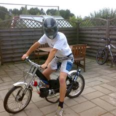 Puch Maxi -Vildhesten [byttet]