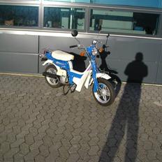 Suzuki FZ50 (SOLGT)