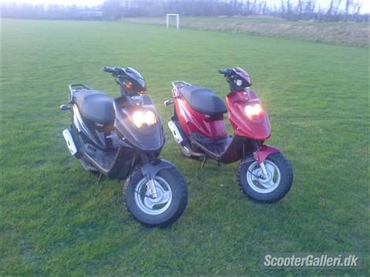 PGO hot 50 billede 8