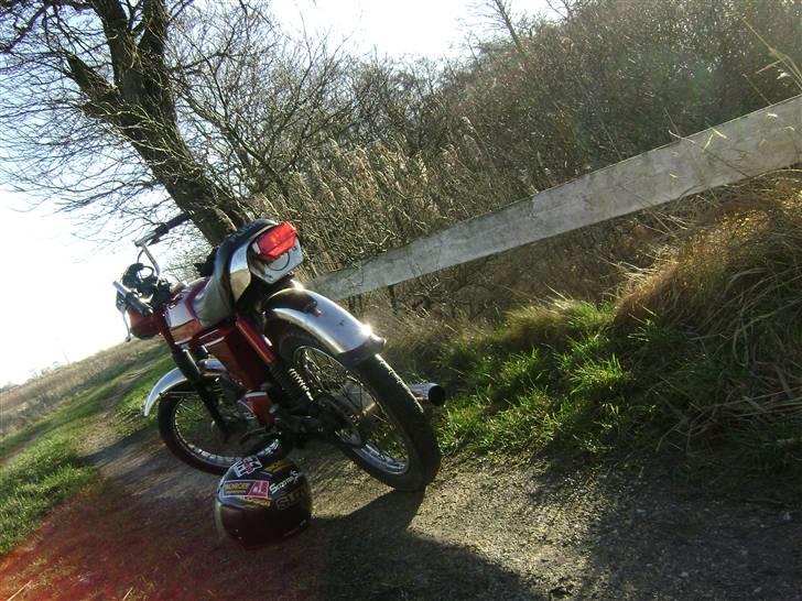 Puch Monza GP - Solgt :'( - Marts 2008, lækrer billeder :D billede 1