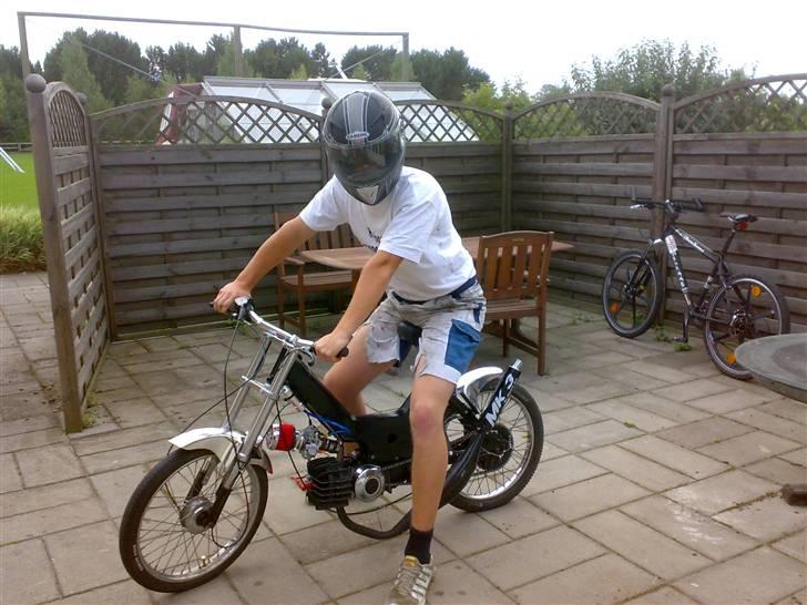 Puch Maxi -Vildhesten [byttet] billede 1