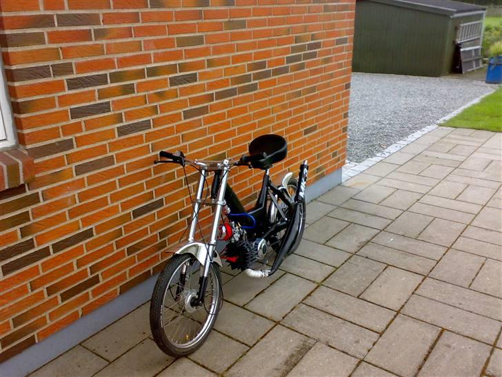 Puch Maxi -Vildhesten [byttet] billede 4