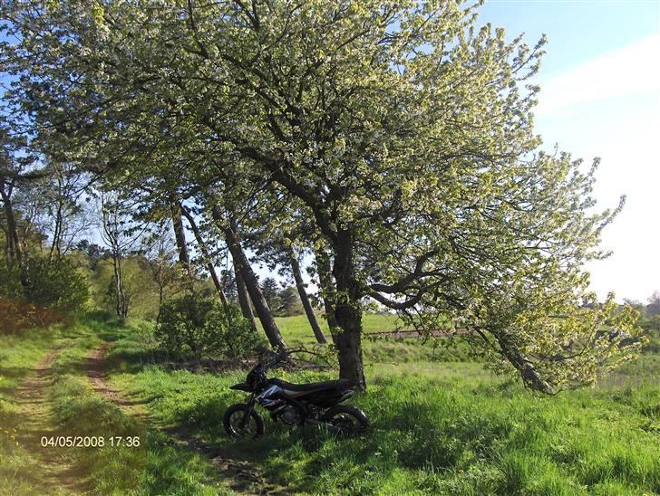 Derbi senda sm x-treme solgt billede 12