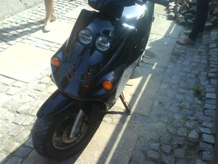 Adly Falcon billede 2