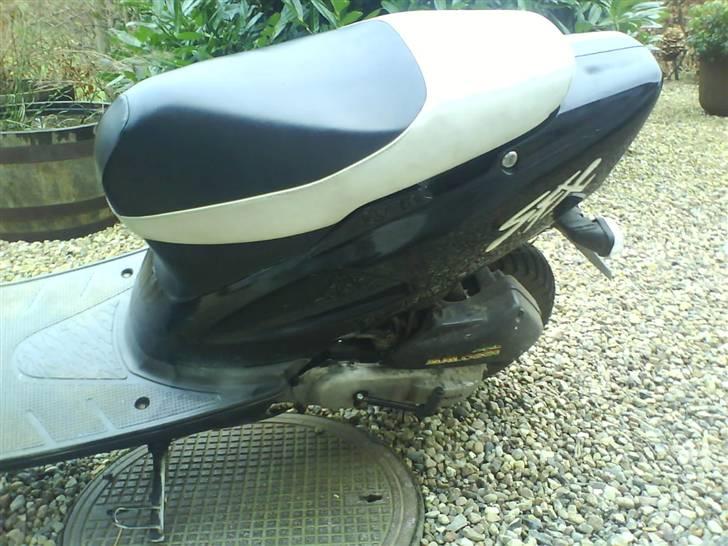 Honda SFX SOLGT billede 4