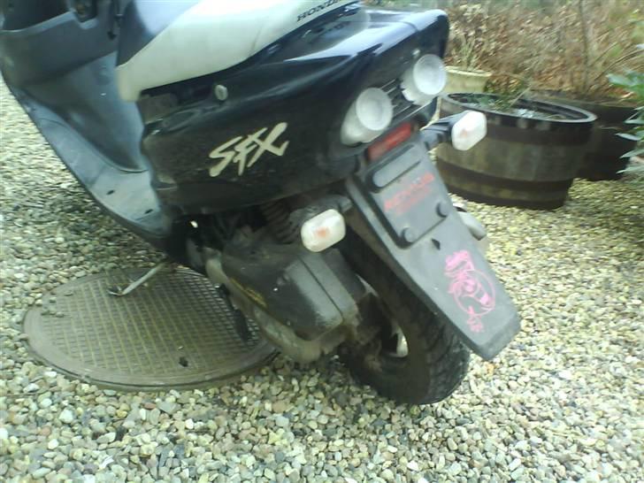 Honda SFX SOLGT billede 5