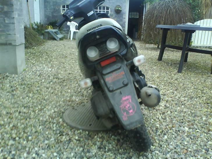 Honda SFX SOLGT billede 6