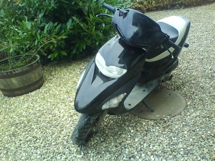 Honda SFX SOLGT billede 11