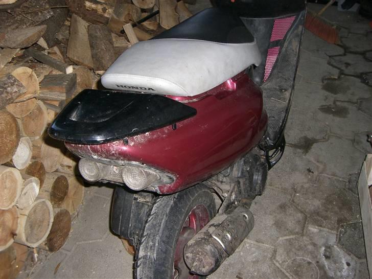 Honda SFX billede 6
