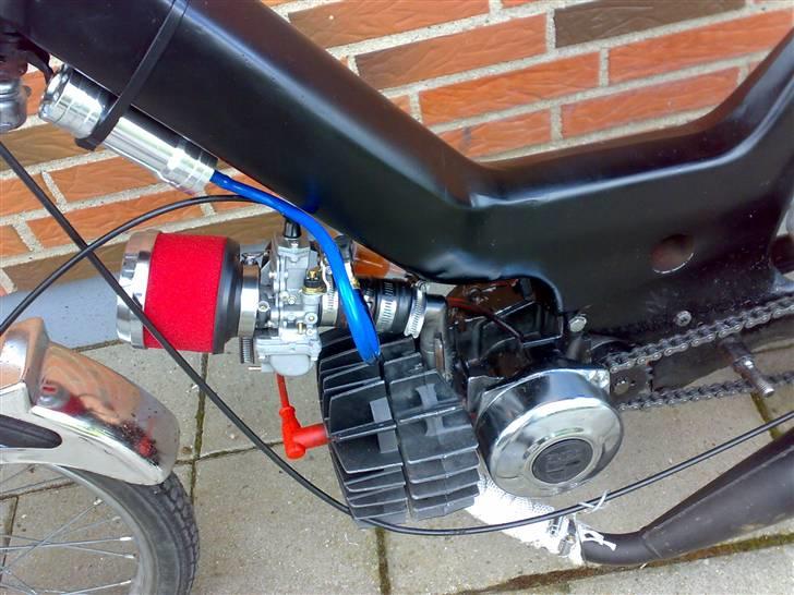 Puch Maxi -Vildhesten [byttet] - Fortid billede 5