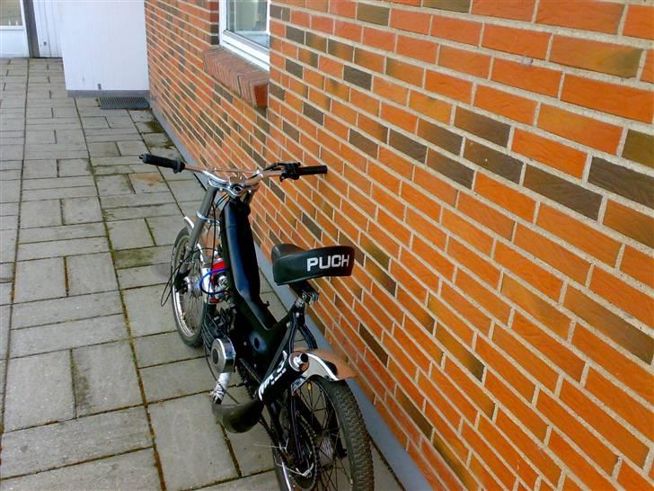 Puch Maxi -Vildhesten [byttet] - Fortid ! billede 6