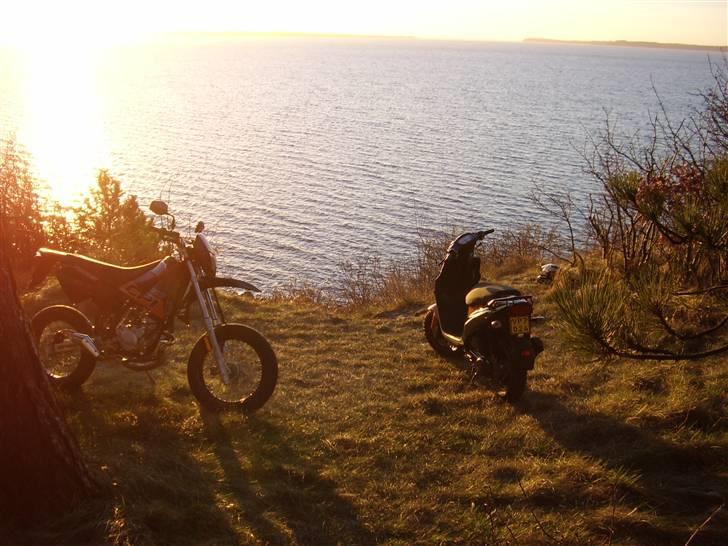 PGO Hot50 billede 12