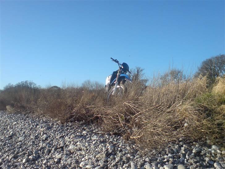 Suzuki rmx - stranden ved højstrup skoven. billede 1