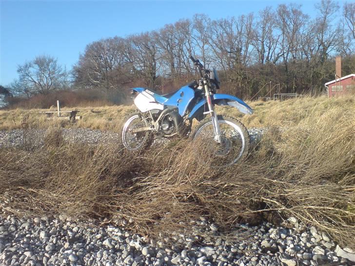 Suzuki rmx billede 3