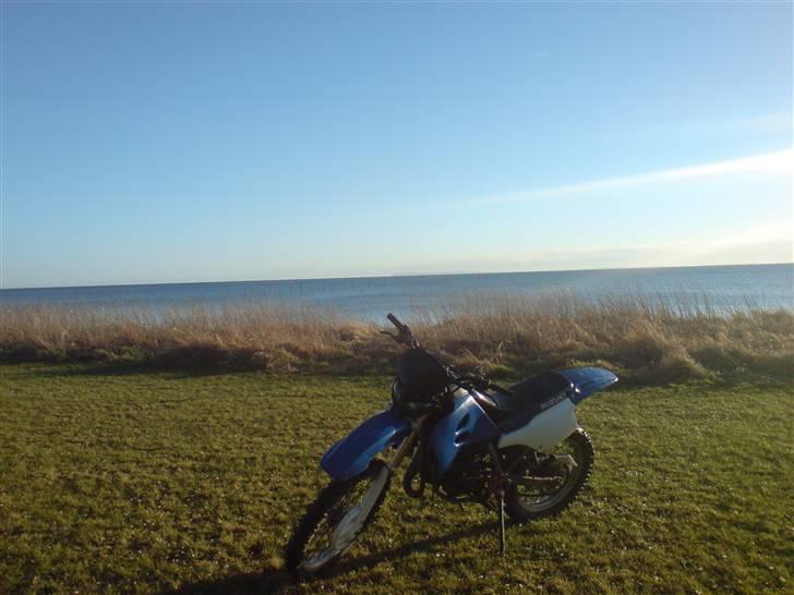 Suzuki rmx billede 7