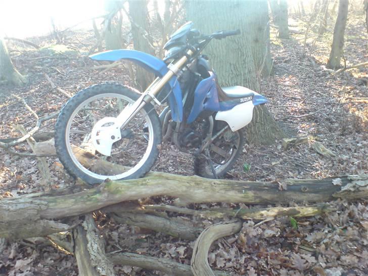 Suzuki rmx - inde i skoven. nej den er fin :) billede 9