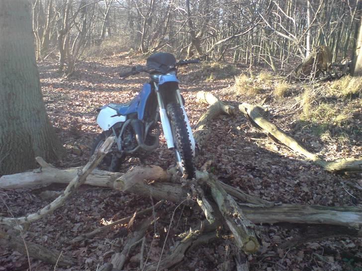 Suzuki rmx billede 10