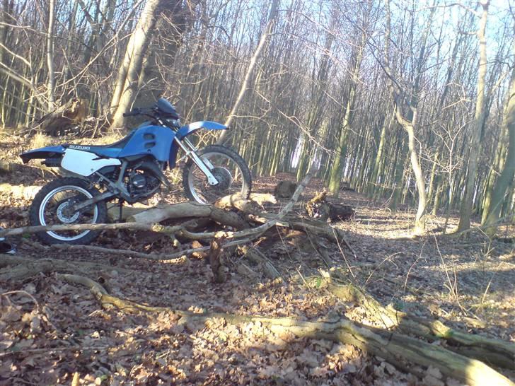 Suzuki rmx billede 12