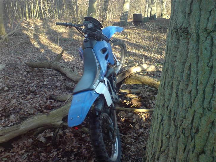 Suzuki rmx billede 13