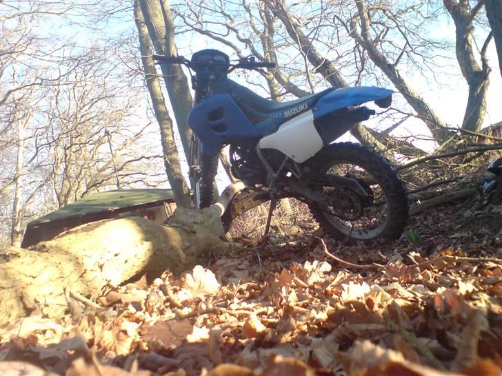 Suzuki rmx billede 14