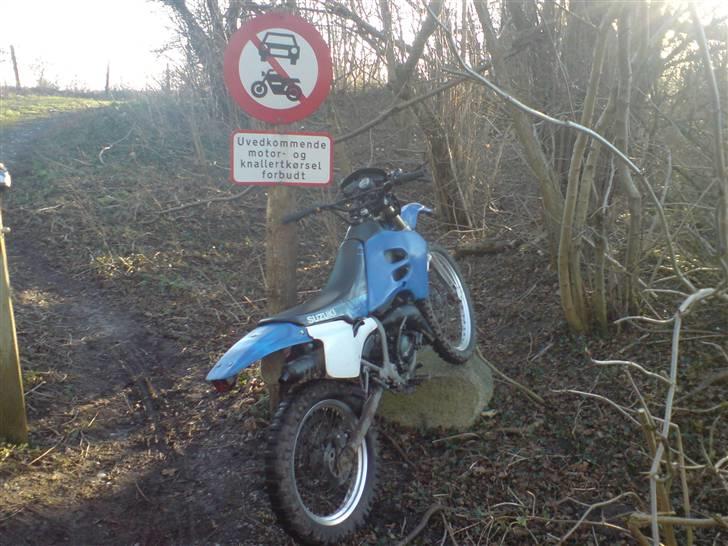 Suzuki rmx billede 15