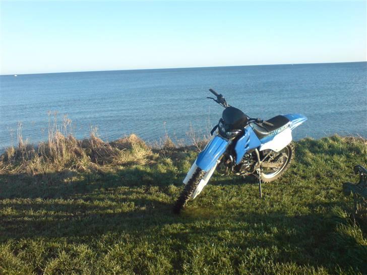 Suzuki rmx billede 17