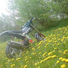 Suzuki Street Magic • AC •