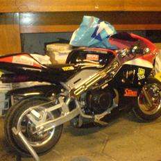 MiniBike pocketbike tilsalg I DELE