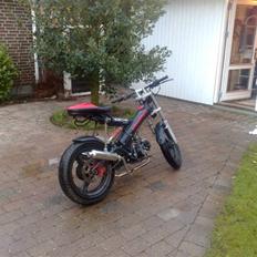 Sachs Madass  (SOLGT)