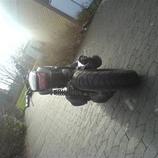 Suzuki street magic (SOLGT)