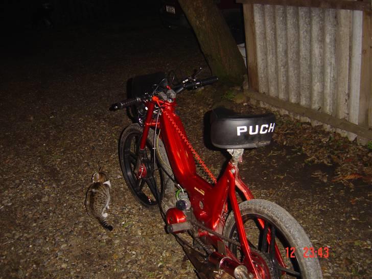 Puch maxi k #Byttet#   billede 14