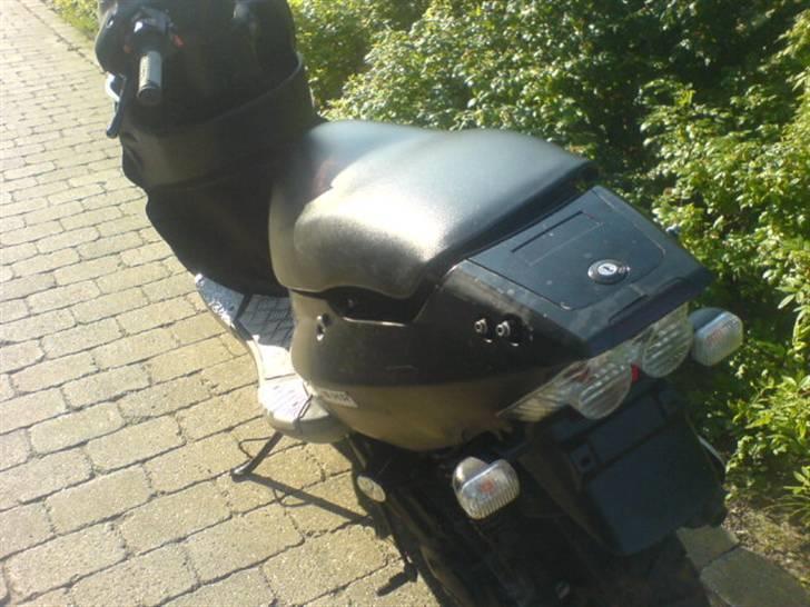 PGO Dr.Big billede 6