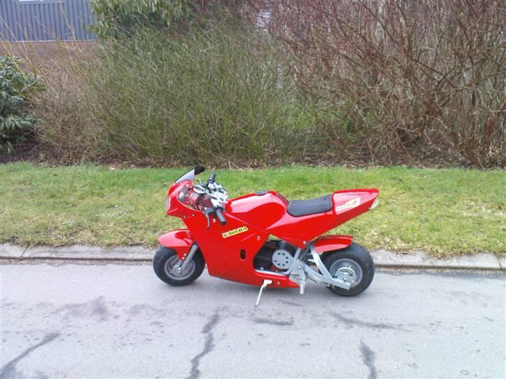 MiniBike el pocketbike billede 1
