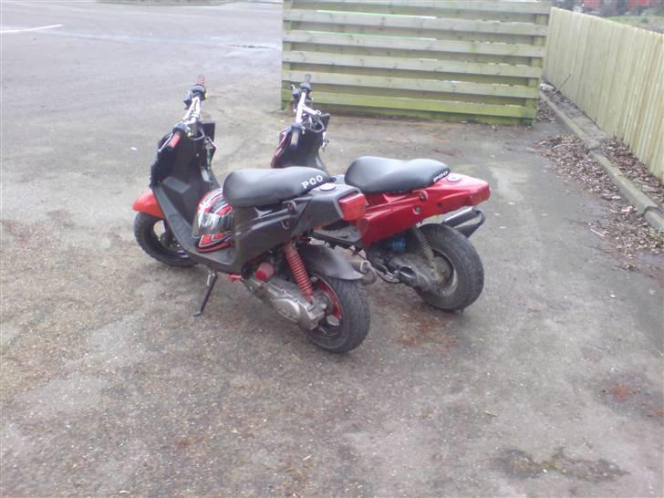 PGO hot 50 *solgt* billede 13