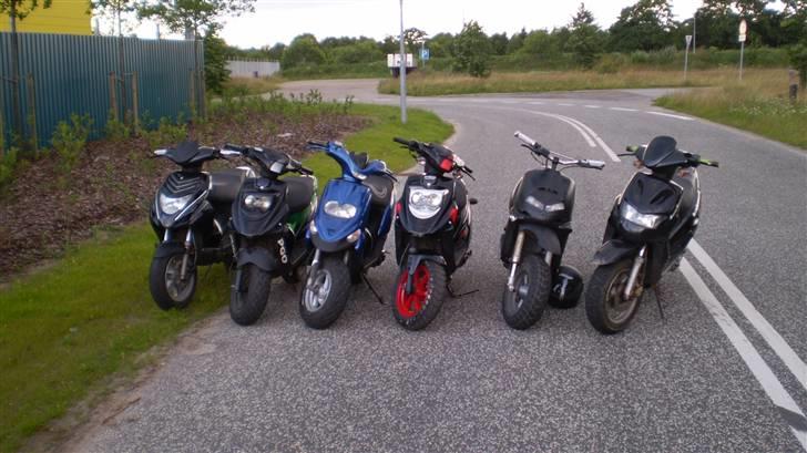 PGO HOT 50 (Byttet) billede 7