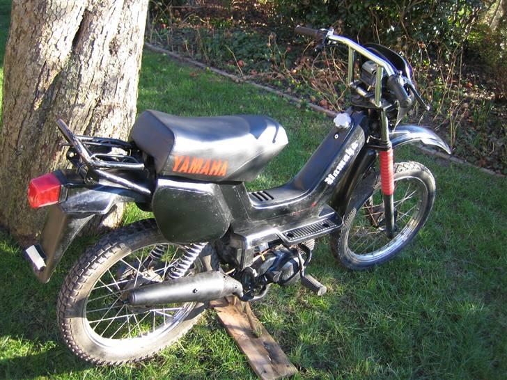 Yamaha Sting billede 2