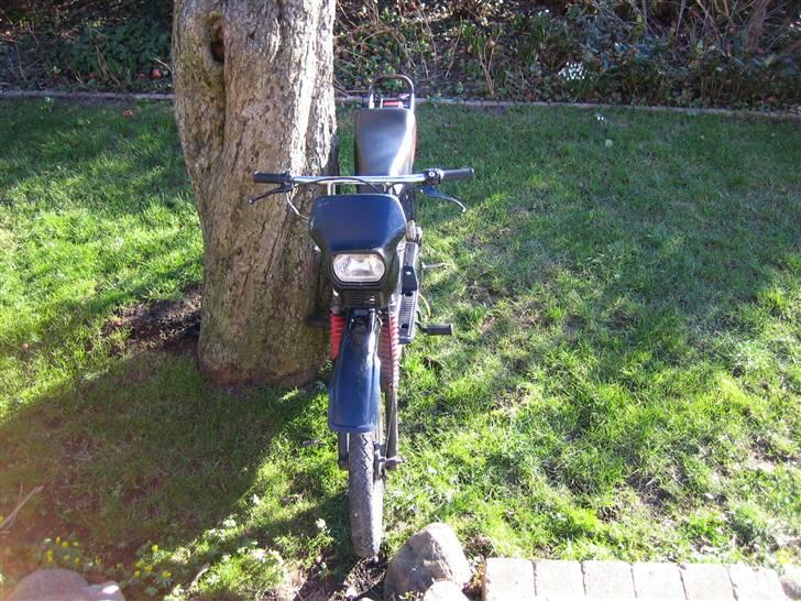 Yamaha Sting billede 3