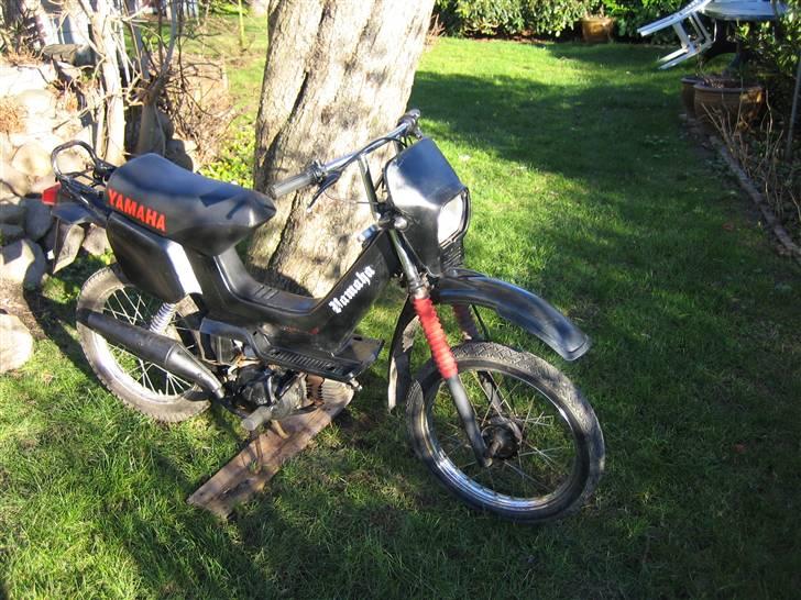 Yamaha Sting billede 7