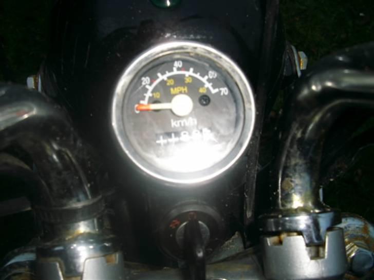 Jincheng gorilla (SOLGT)  :( billede 4