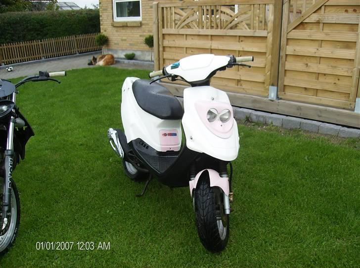 PGO hot 50 #julie# byttet - efter styrt.. billede 12